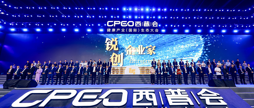 砥砺前行！pp电子荣获西普会两项大奖