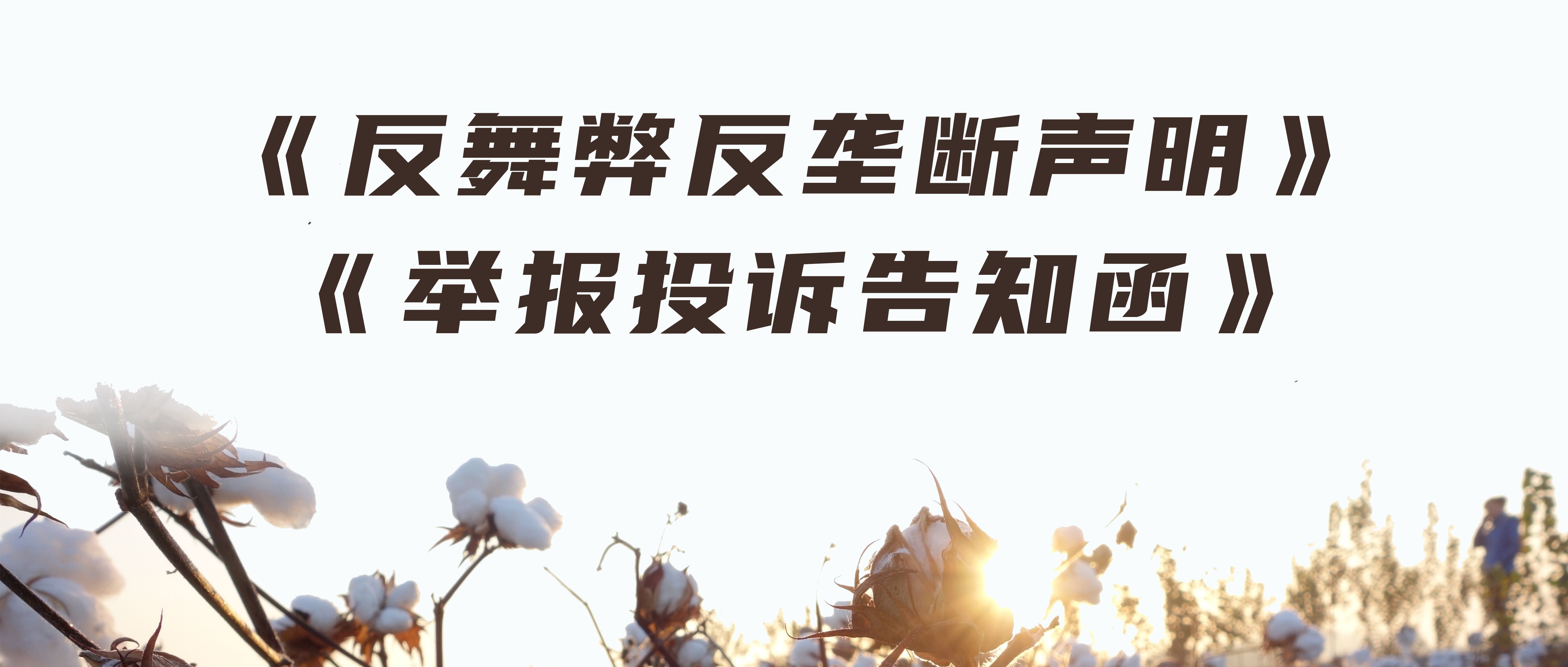 pp电子反舞弊反垄断声明与举报投诉见告函