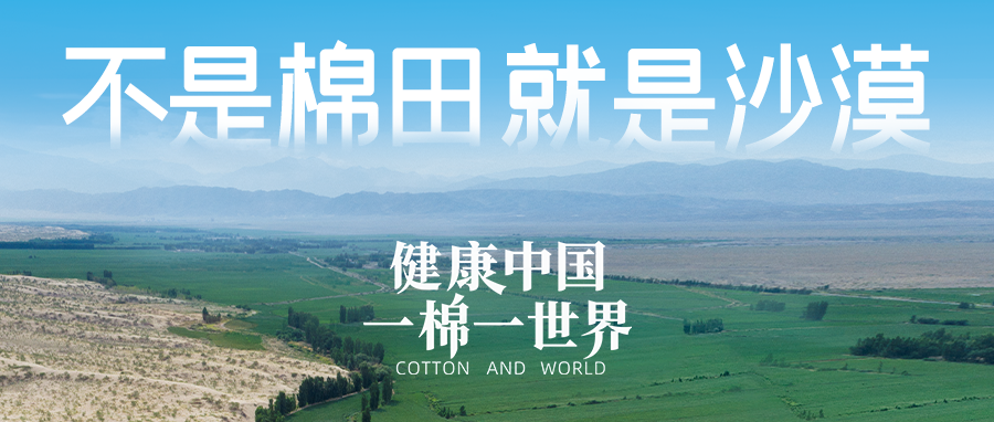 链接天下，，，，引领康健生涯，，，，pp电子集团受邀亮相首届链博会