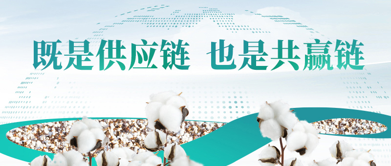棉花的供应链，，，，，pp电子共赢链