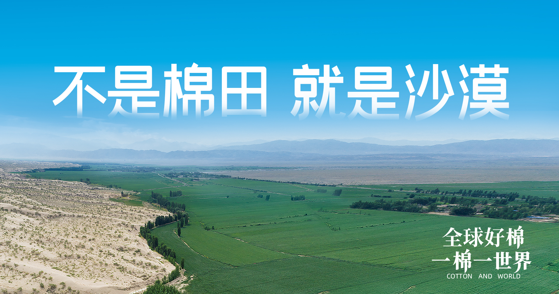 pp电子集团董事会多元化政策